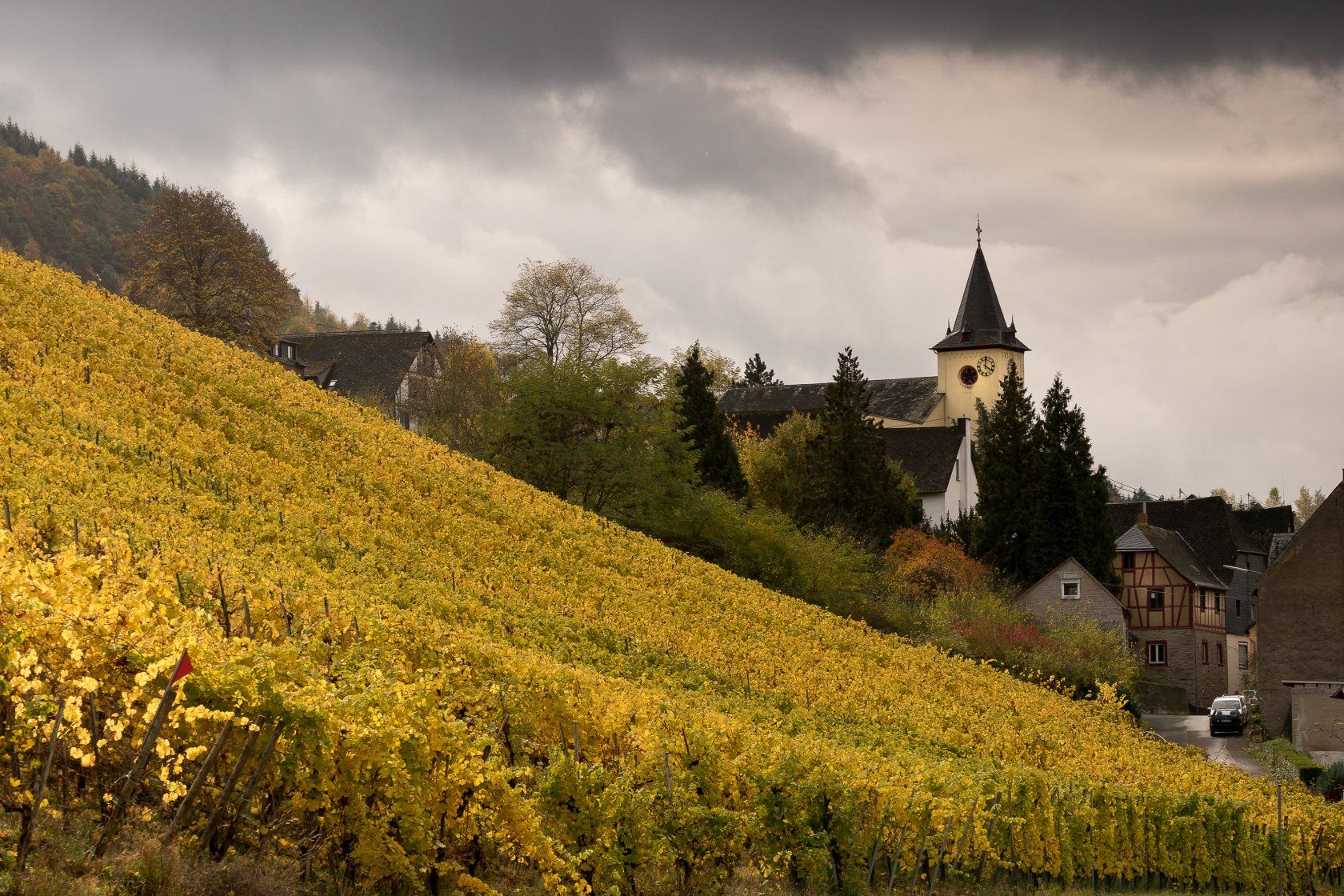ortsansicht-auf-burg-mosel Ortsansicht Burg Mosel