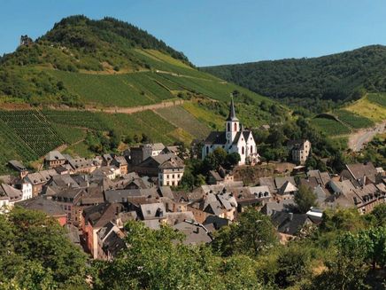 blick-taubenhaus-weingut-böcking Blick Taubenhaus