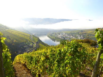 runder-turm-zell-mosel-zellerland Runder Turm Zell