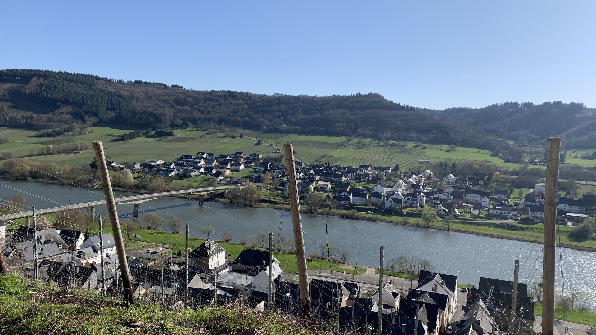 Kinheimer Rosenberg Weinlage in Kinheim