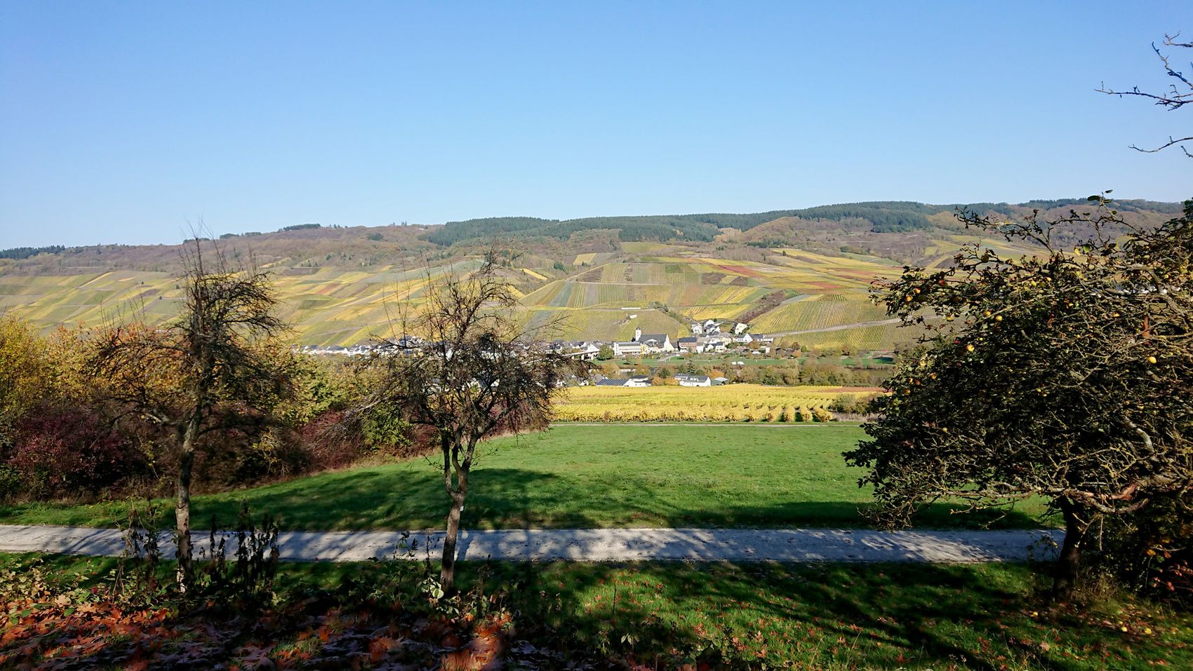 Farbenprächtiger Blick von Kindel auf Kinheim