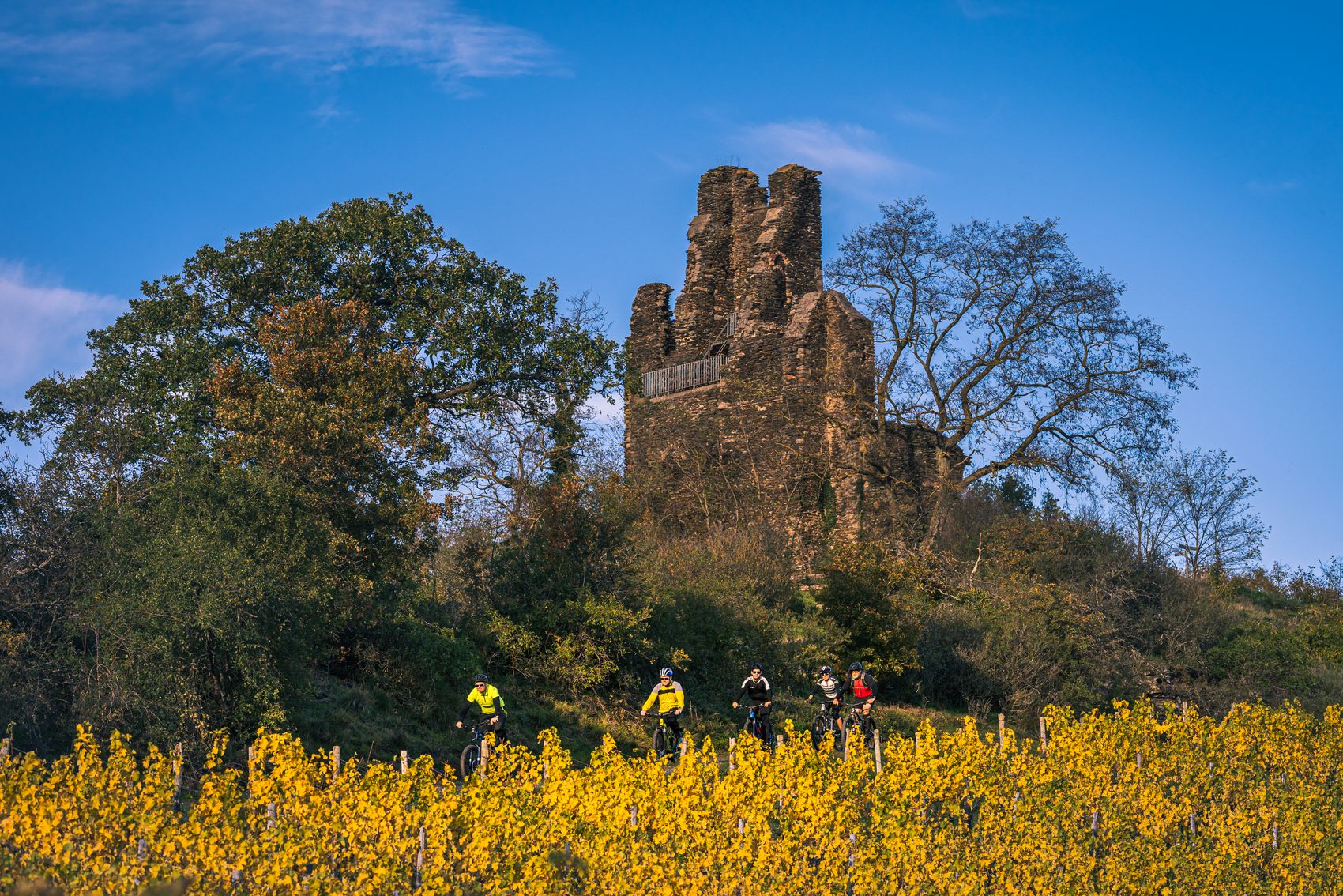 Mountainbiker bei der Fahrt durch die Weinberge mit Wolfer Kloster im Hintergrund