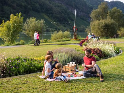 familie-picknick-mosel-kröv Familienpicknick mit Moselblick in Kröv