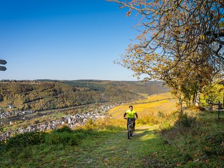 Weiter Blick auf Enkirch mit Mountainbiker