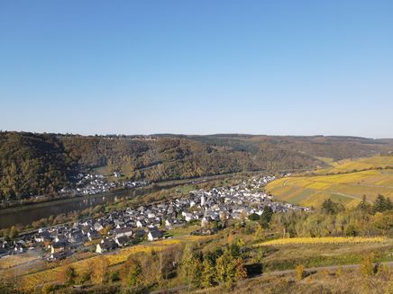 blick-enkirch-dorfansicht-herbst Herbstliche Ansicht auf den Ort Enkirch von oben