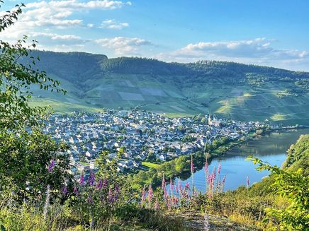 moselliebe-trekking-übernachten-plattform