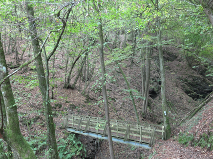 kluckertsbach-wanderweg-kluckertspfad-kinheim Kluckertsbach in Kinheim