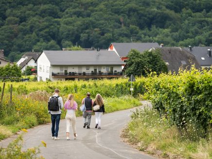 pärchenwanderung-weinberge-kinheim Pärchen wandern durch die Weinberge in Kinheim