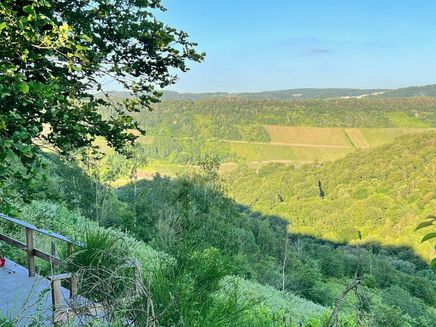 trekkingplätze-mosel-übernachten-aussicht-wandern