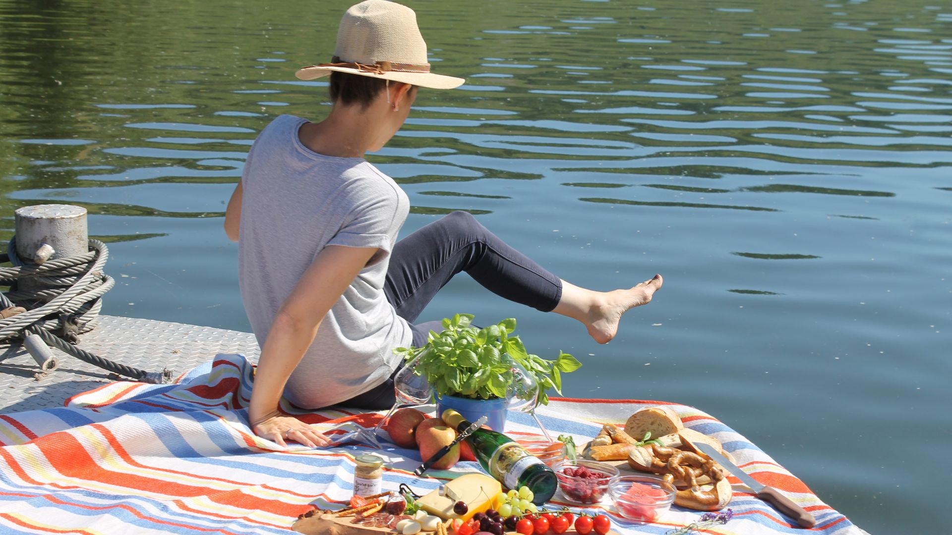 Kröver Moselufer Sommerliches Picknick am Moselufer