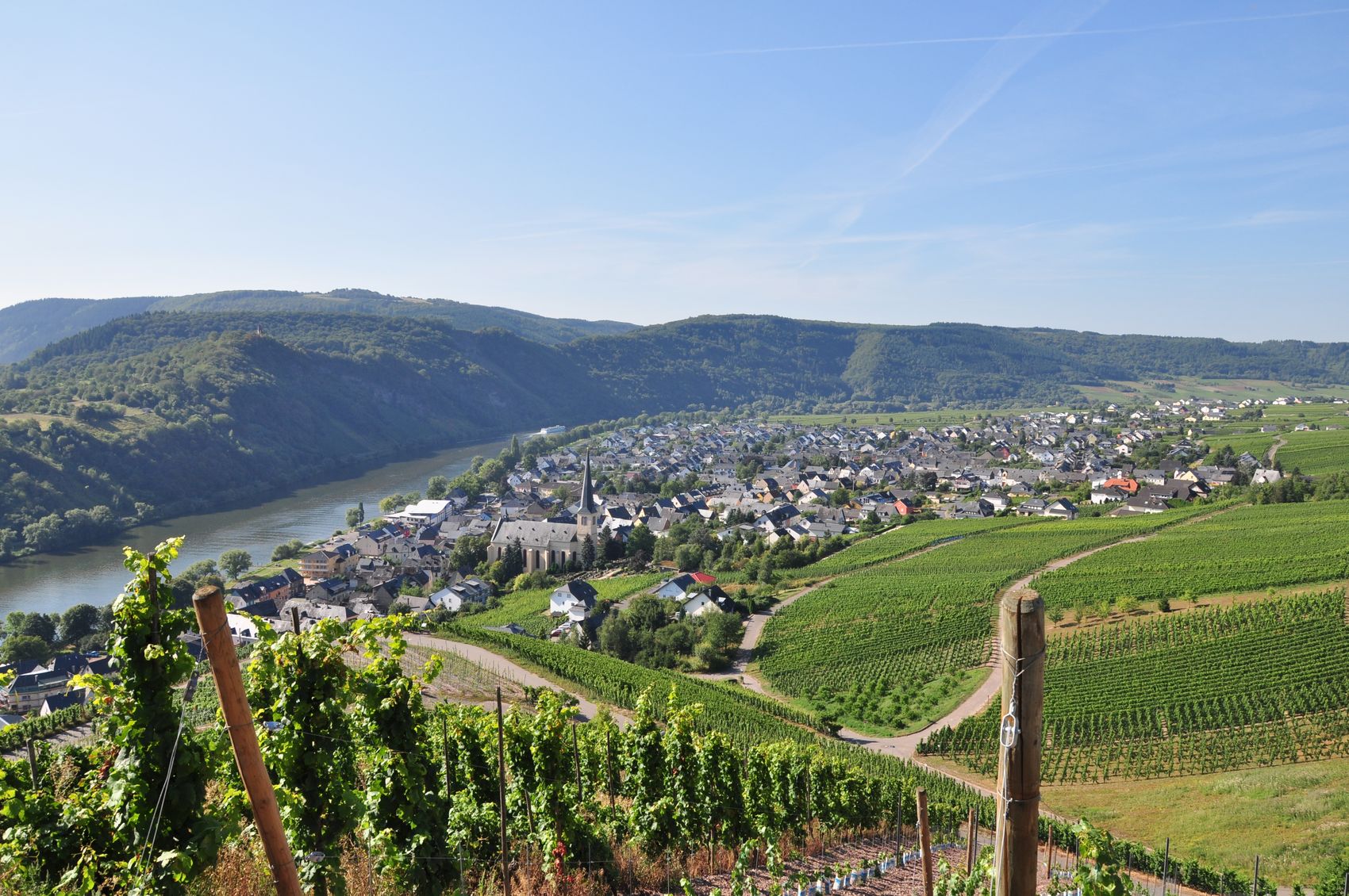 Ortsansicht aus den Weinbergen auf Kröv