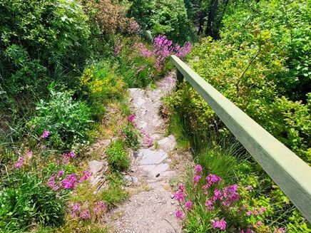 zollturm-pfade-wandern-mosel Auf dem Zollturm-Steig über schmale Pfade durch die prächtige Natur der Mosel