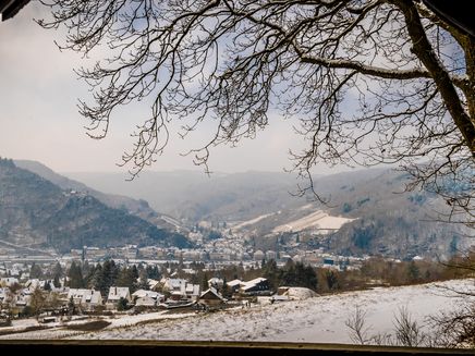 Winterliche Wanderung mit Blick auf Traben-Trarbach