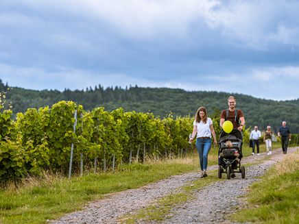 familienwanderung-weinberge-kinheim Familienwanderung durch die Kinheimer Weinberge