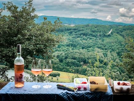 picknick-ausblick-wälder-ruhe Picknick mit Blick in die ruhigen Wälder