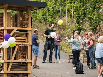 wandergruppe-lebenstumr-kinheim-weinstand Weinstand am Kinheimer Lebensturm