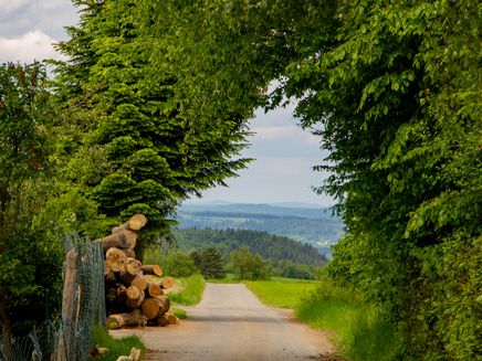 wald-eifelgemeinden Feldweg am Waldrand der Eifelgemeinden