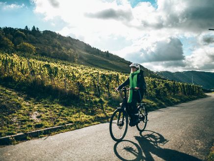 moselradtour-weinberge-herbst Moselradtour durch die Weinberge im Herbst