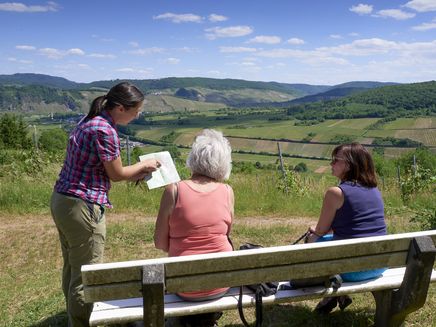 moselwanderung-aussicht-gästeinformation-wanderkarte-rastplatz Bei der Moselwanderung durch die Moselregion trifft man auf viele Gäste, die dankbar um ein paar Tipps von Einheimischen sind.