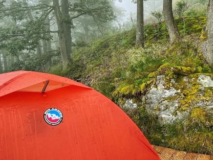 mosel-trekking-plattform-traben-trabach