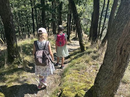 elfenpfad-wanderung-familie Spannende Familienwanderung Elfenpfad in Traben-Trarbach