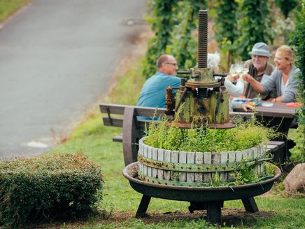 gruppe-pause-weinberge-kinheim Wandergruppe macht Rast in den Weinbergen Kinheims